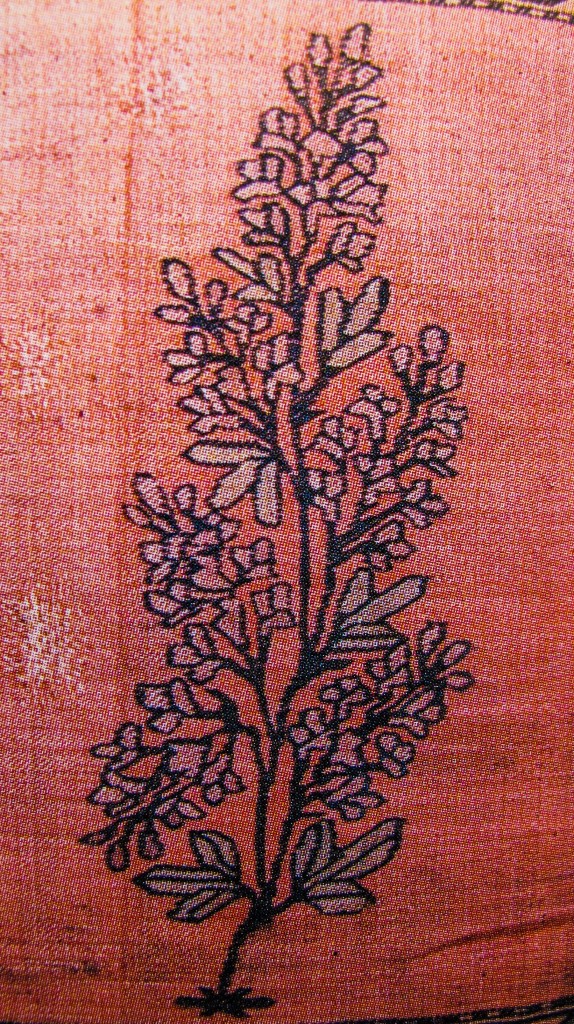 Buta on Shoulder Mantle on a Pala Kashmir Shawl Mughal Dynasty 17th Century  574x1024 Kashmir Paisley Shawl and its Enduring Contribution to the Paisley Motif
